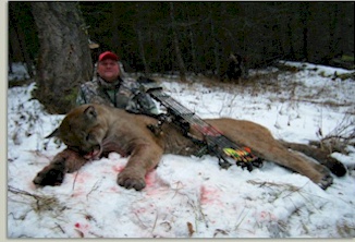 Guided cougar bow hunting in Alberta and British Columbia, Canada